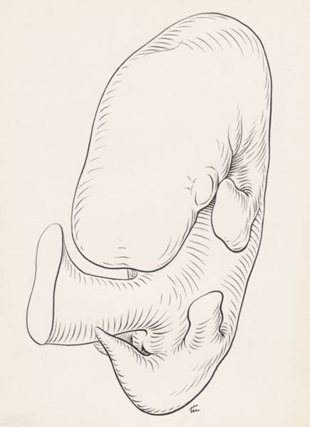 J Tinkelenberg, Human embryo