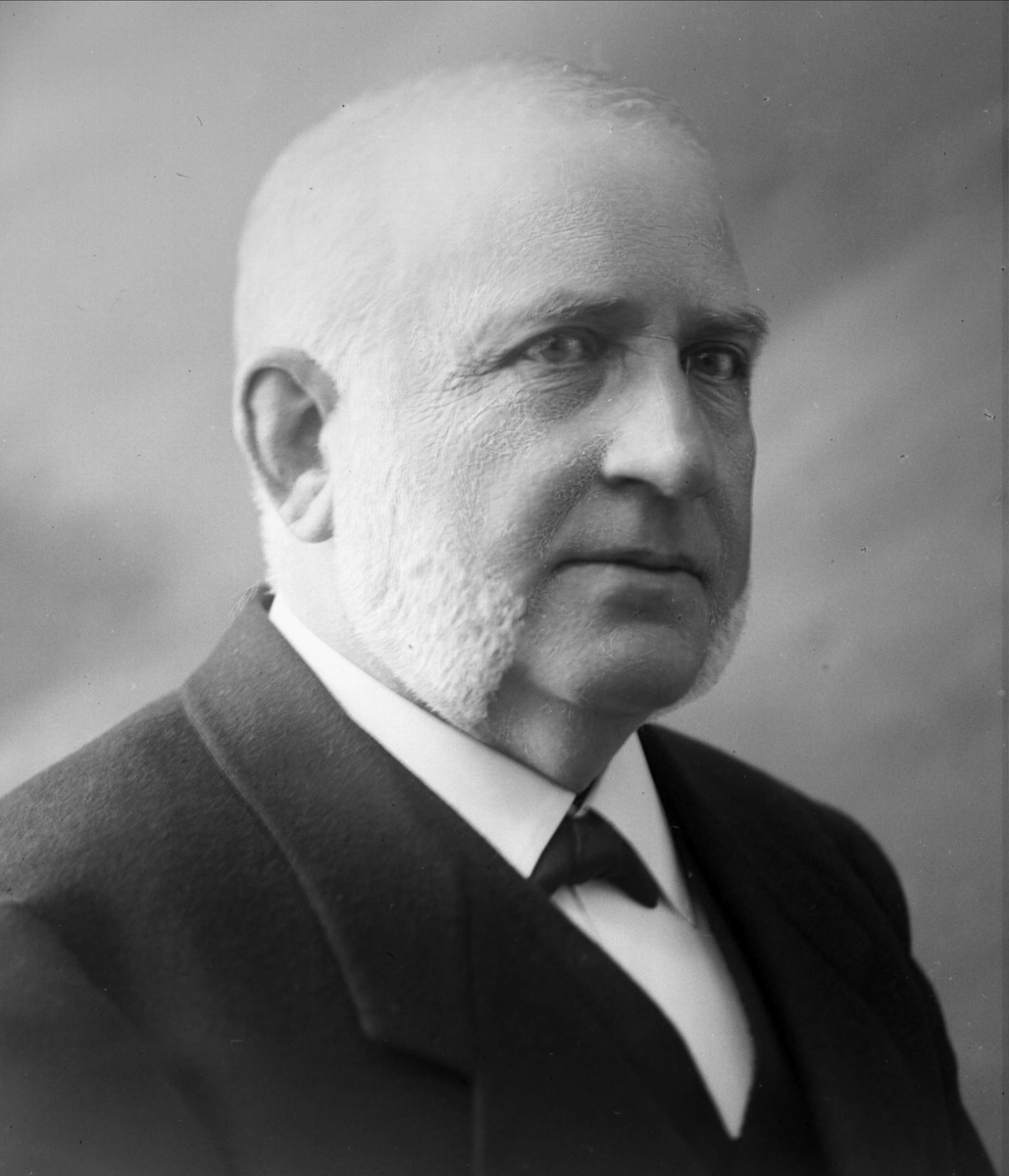 Gustav Borgen, Portrett, kjøpmann Iver Welo.