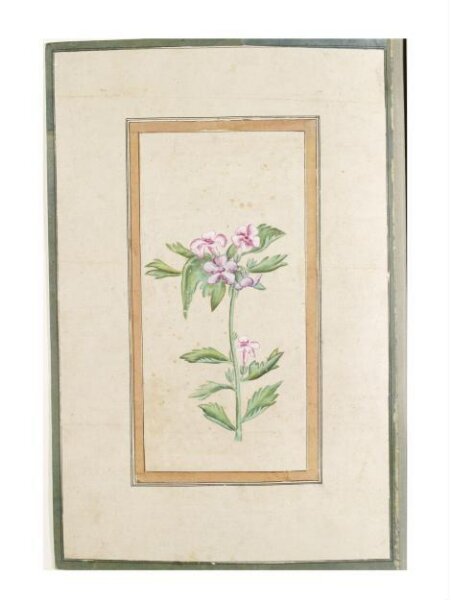 Unknown, Painting