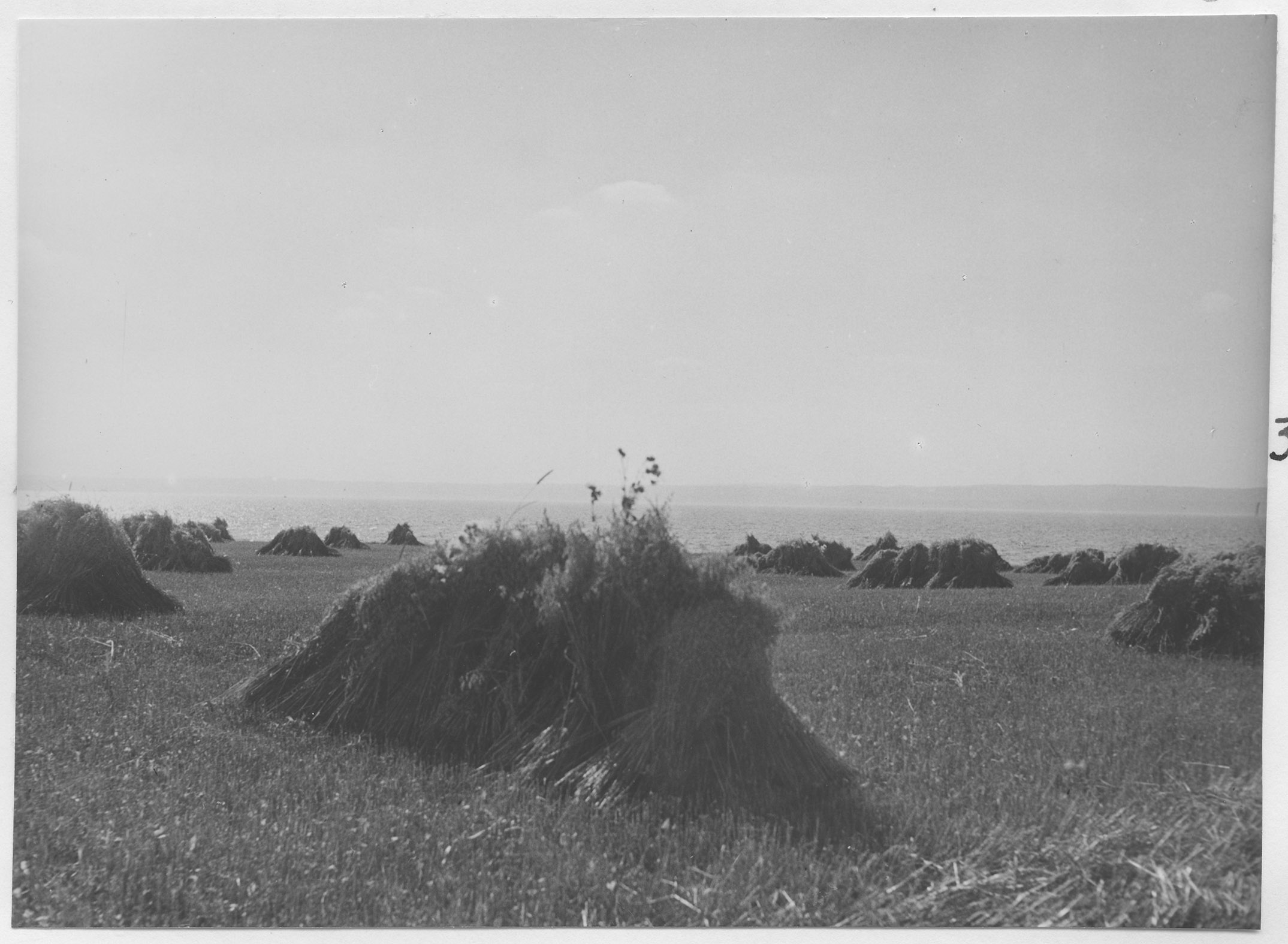 Mårten Sjöbeck, Näsudden