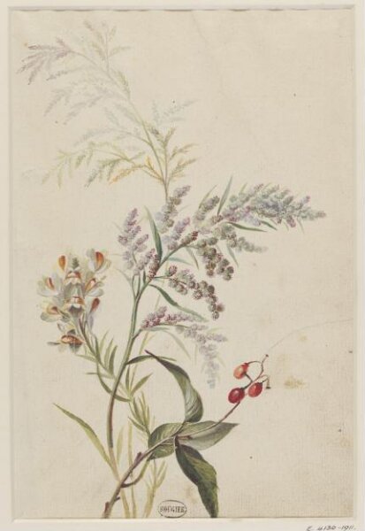 unknown, Drawing