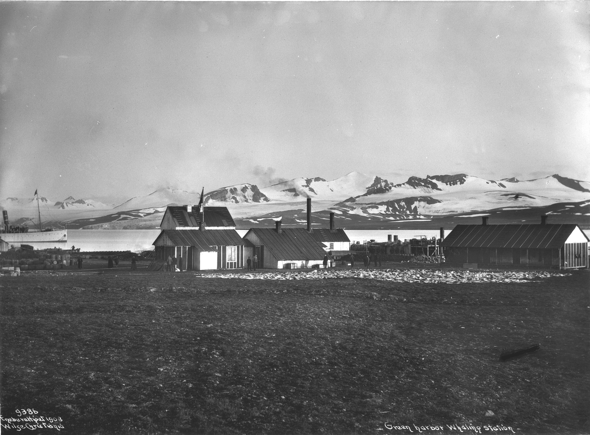 Anders Beer Wilse, Prot: Green Harbor Hvalstation 19/8 1908