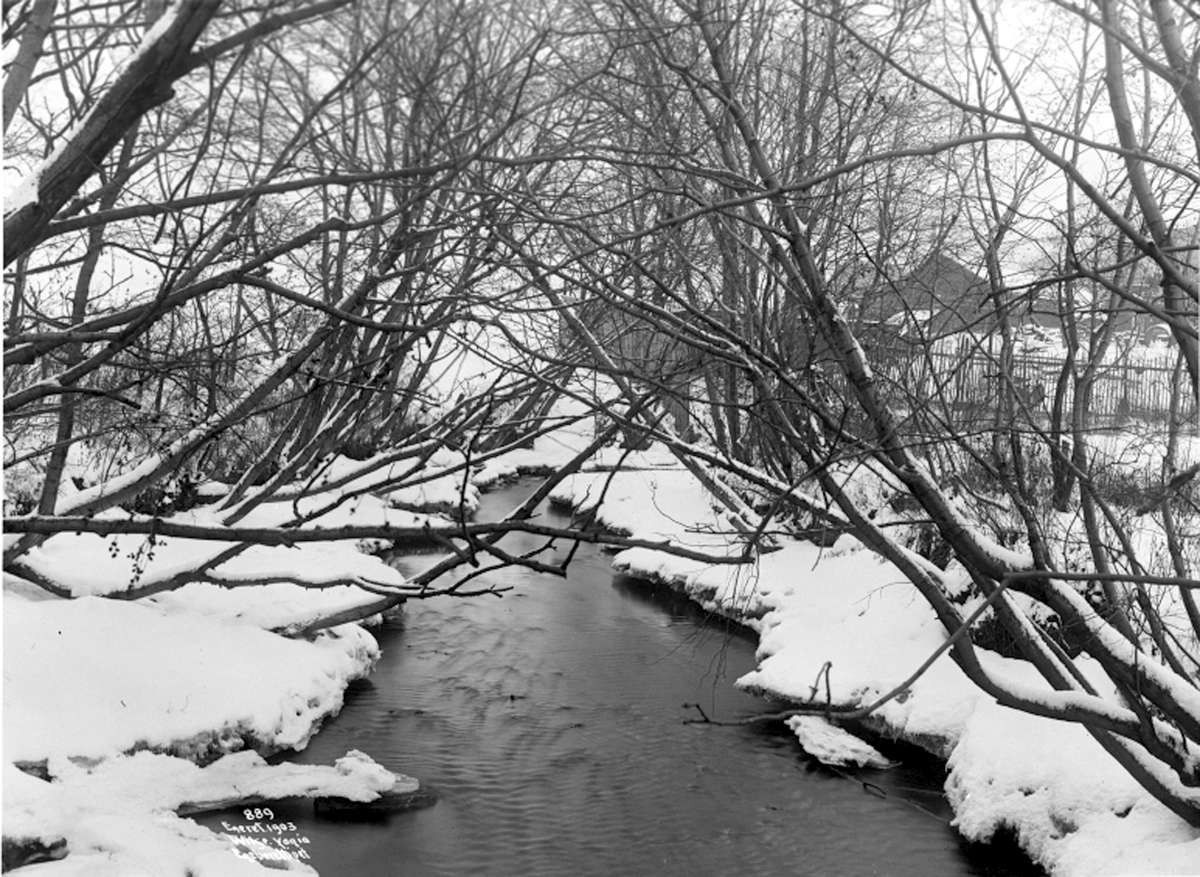 Anders Beer Wilse, Prot: Vinter - Loelven overhengende trær 1903