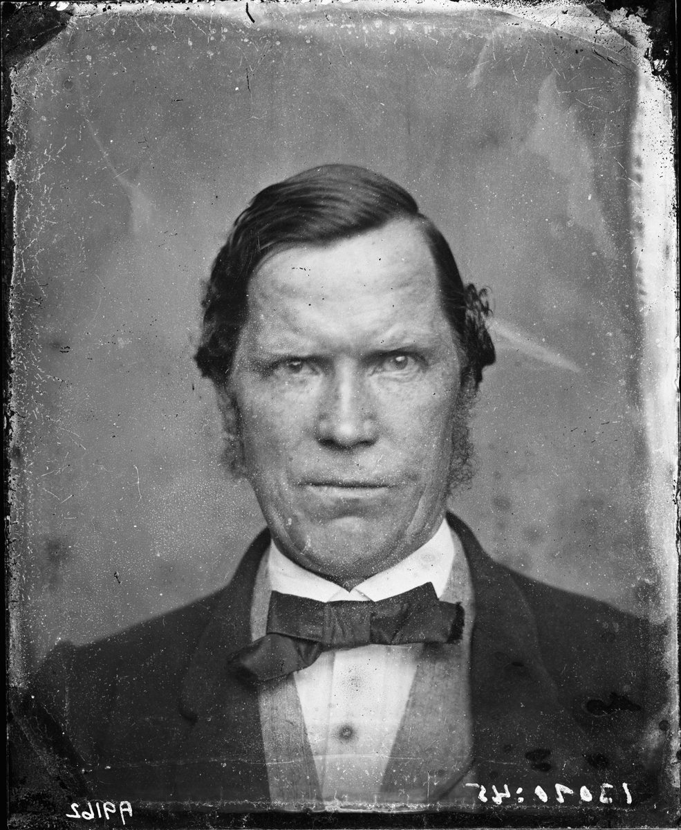 Carl Curman, Mansporträtt