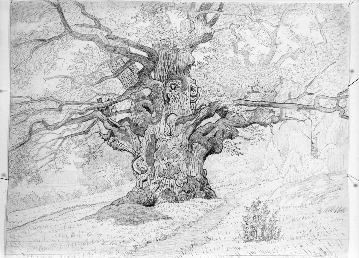 Paul Sandberg, Artwork - drawing with motif from Ekhamn, Vassunda parish, Uppland, unsigned, photographed December 1944