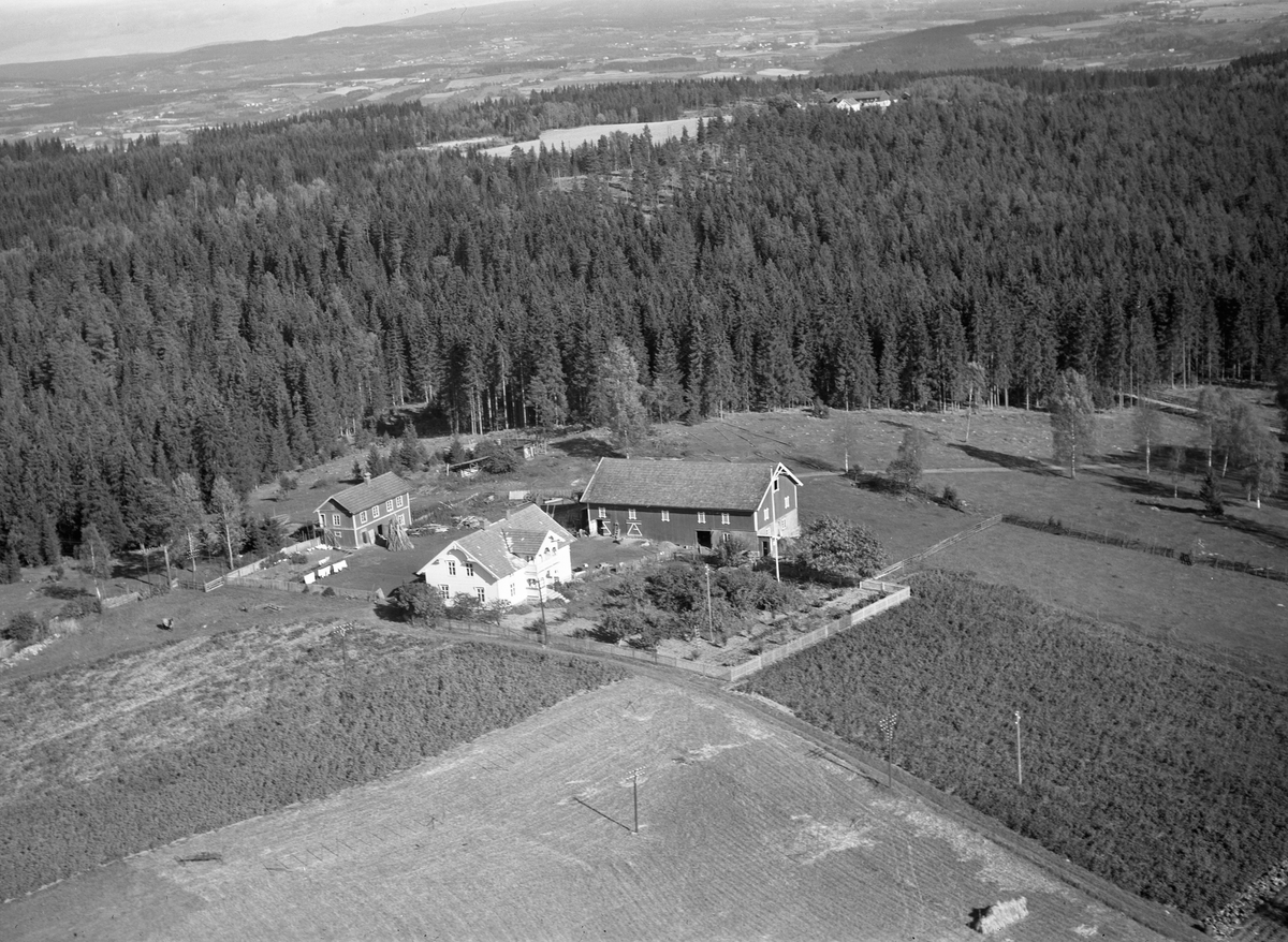 Anno Domkirkeodden, Flyfoto, gardsbruk, Alhaug, Nes, Hedmark.