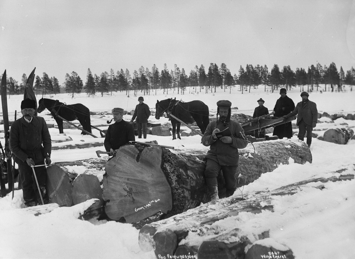 Anders Beer Wilse, Prot: Granstok på Fæmundsjø 24/2 1905