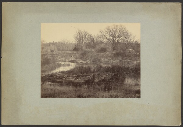 Constant Alexandre Famin, [Marsh Landscape]