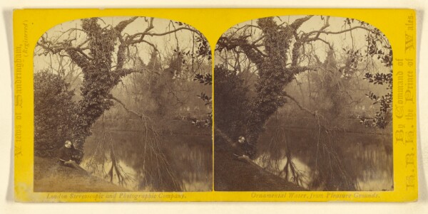 London Stereoscopic and Photographic Company, Ornamental Water, from Pleasure Grounds.