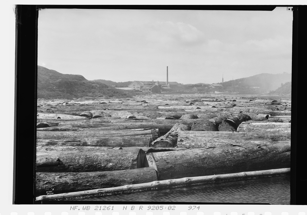 Anders Beer Wilse, Prot: United Lumber Kr.Sand