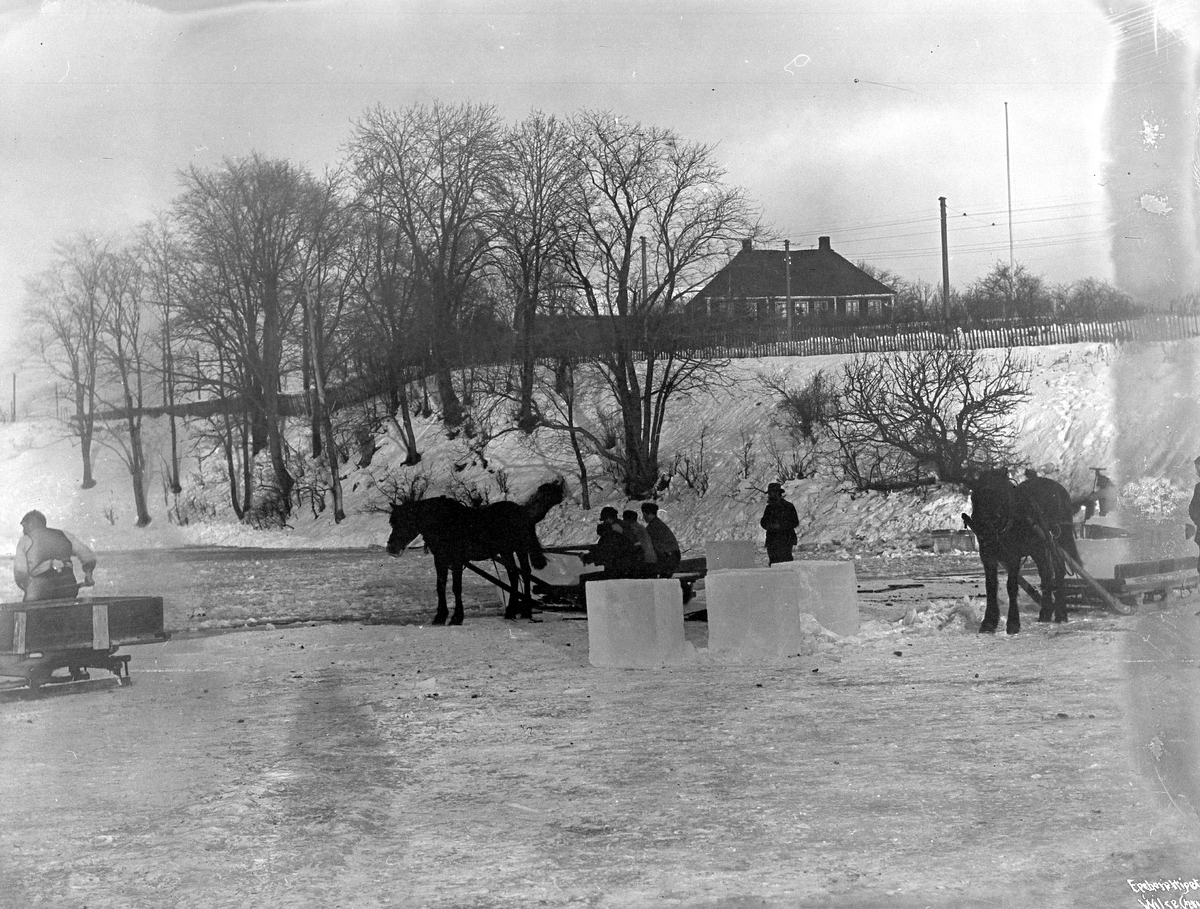 Anders Beer Wilse, Prot: Isskjæring Jan.1902