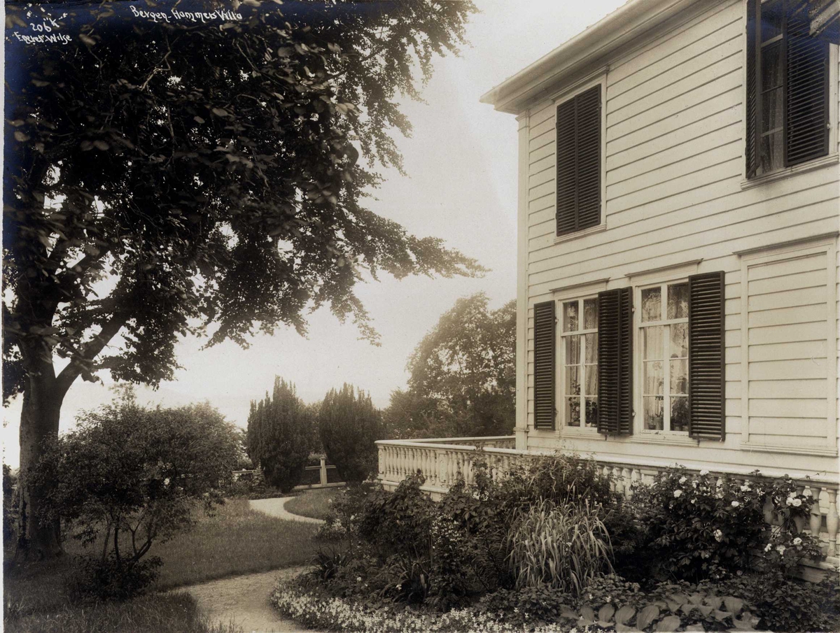 Anders Beer Wilse, Trevilla, Hammers vill, Bergen, Hordaland. Fotografert 1912.