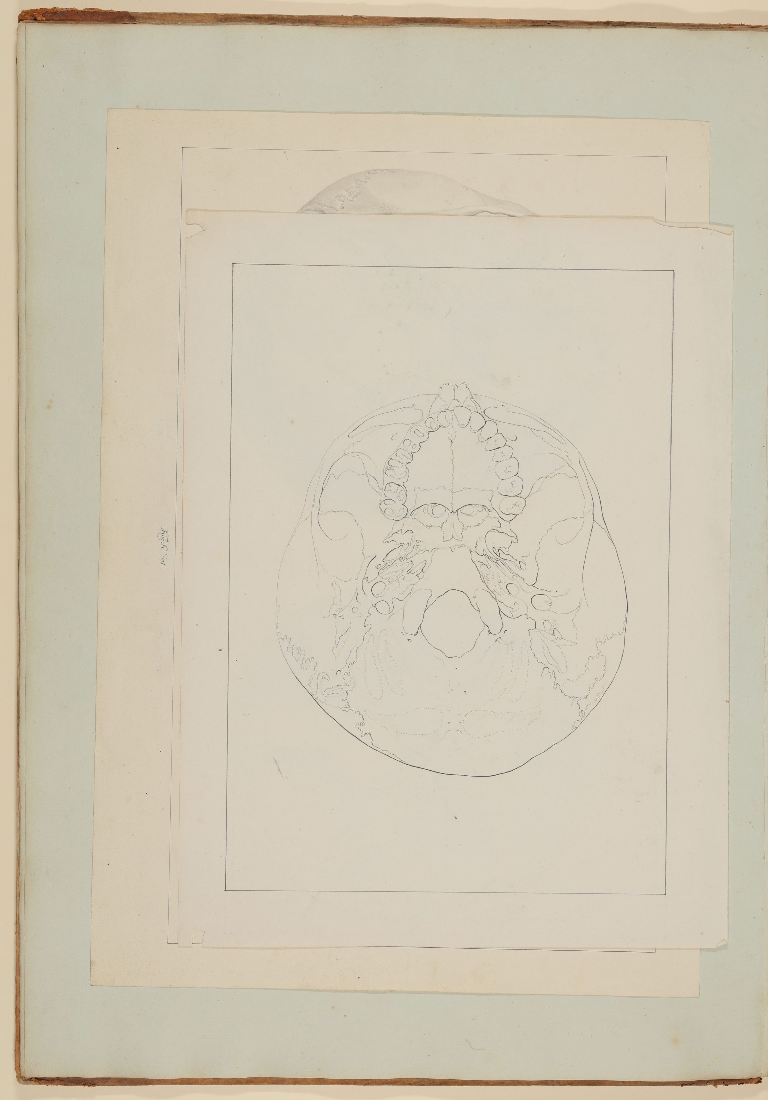 Christian Koeck, Das Hörorgan und seine Lage im menschlichen Kopf am Beispiel eines weiblichen Schädels [Nicht verwendete Vorzeichnung zu Samuel Thomas Soemmerring, Abbildungen des menschlichen Hörorganes, Frankfurt am Main 1806, Tafel V]