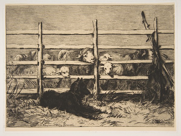 Félix Bracquemond, Moutons Parqués