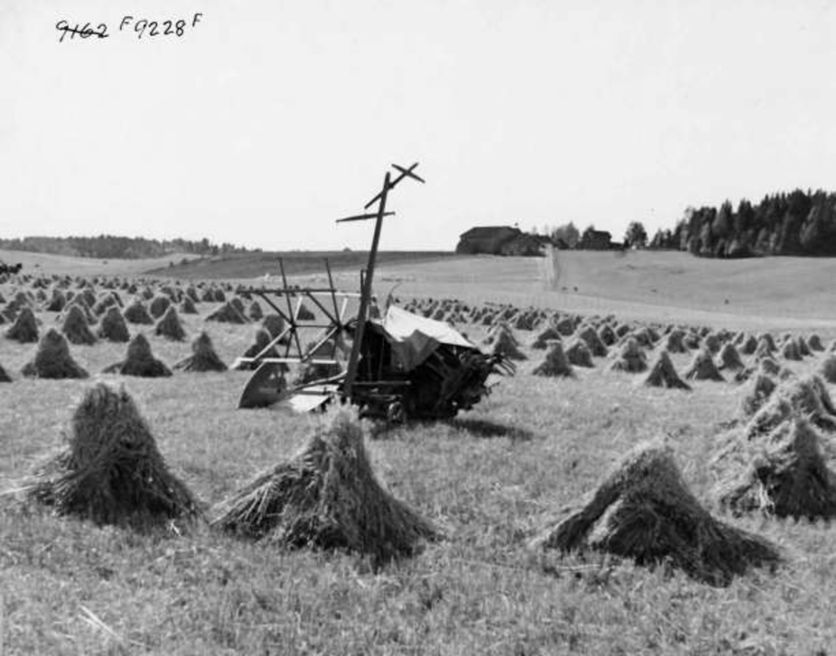 Anders Beer Wilse, -8076