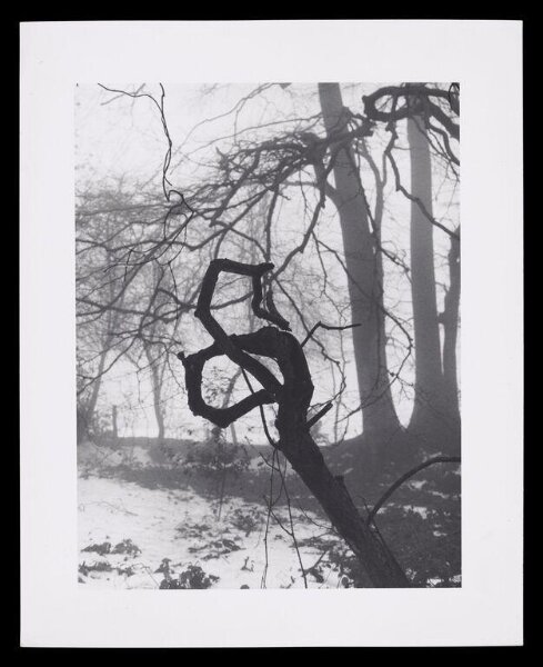 Hardy, Bert, Snow