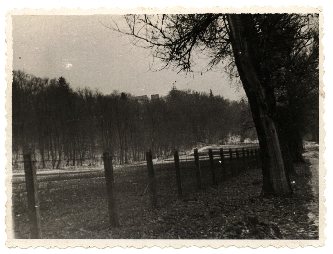 Juozas Naujokas, Topolių gatvė Raudondvaryje