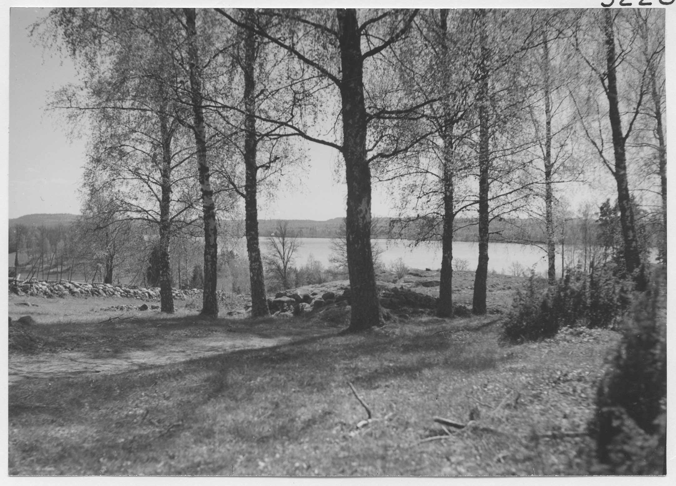 Mårten Sjöbeck, Romanäs