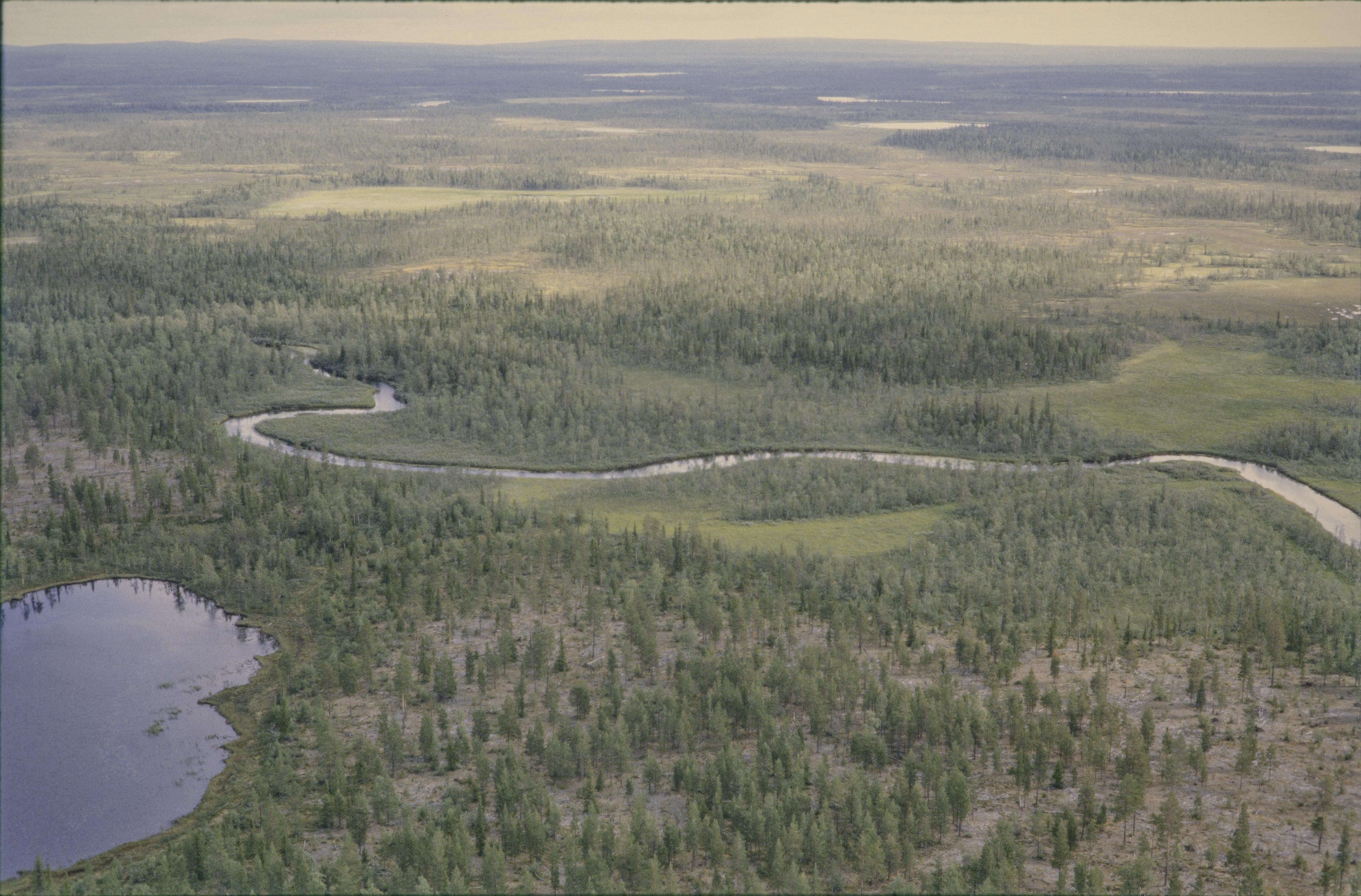 Jan Norrman, Jukkasjärvi 776:1