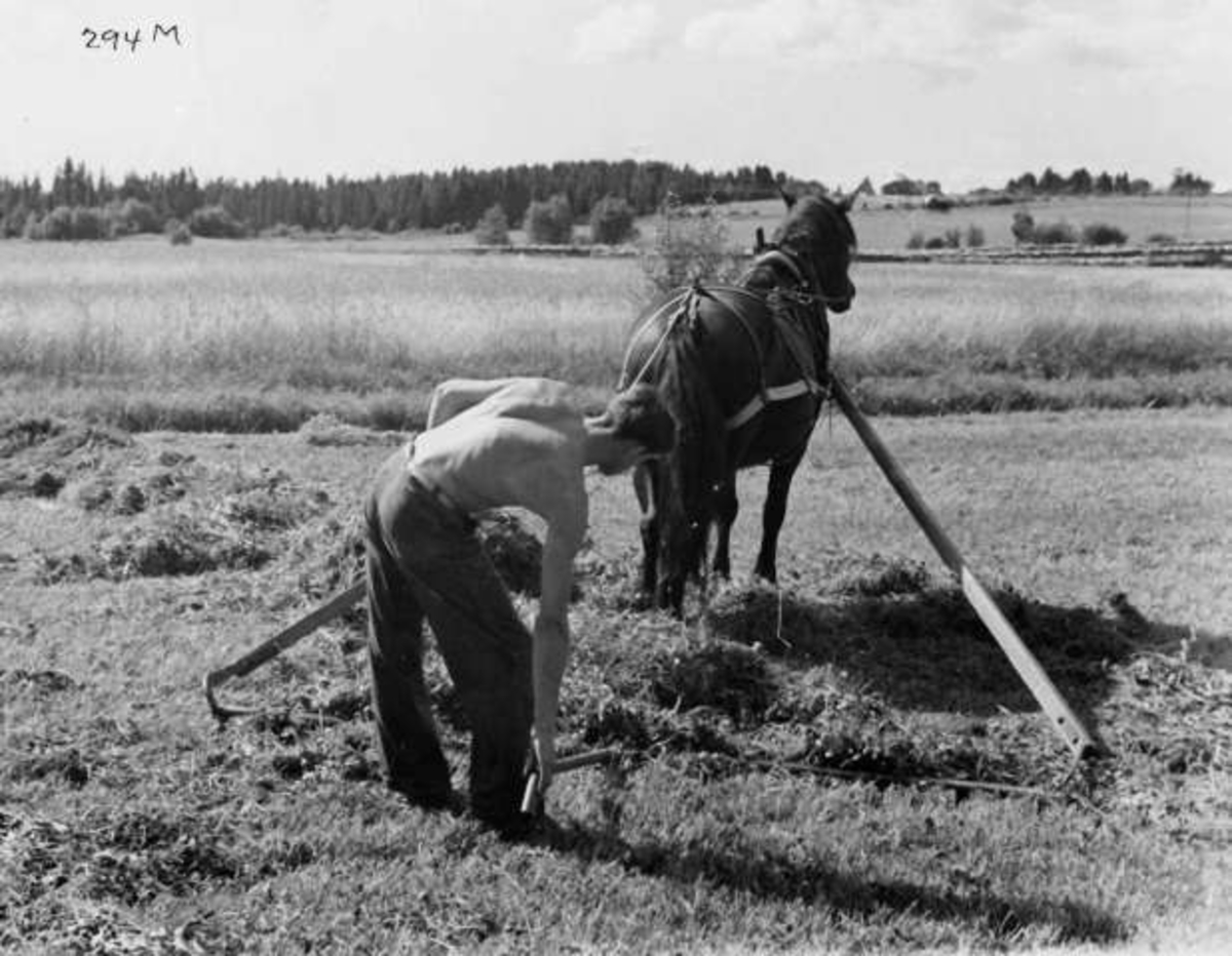 Anders Beer Wilse, -8029