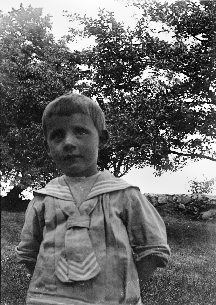 Okänd,, Probably Alf Liljefors out at the farm, in Sweden