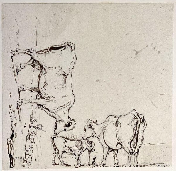 George Chinnery, Studies of cattle
