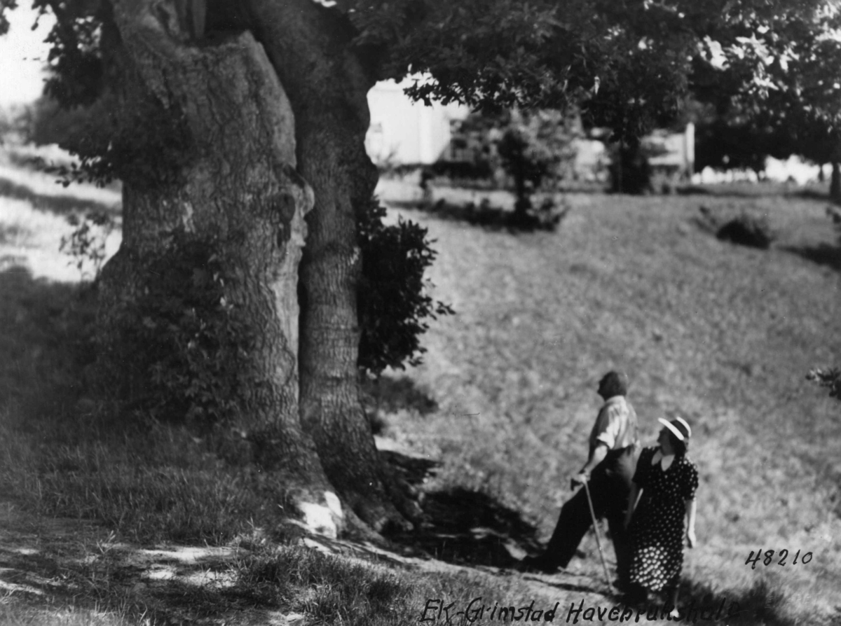 Anders Beer Wilse, Hagebruksskole