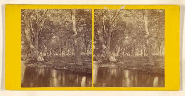 John B. Heywood, Study on Artists' Brook, North Conway. [White Mountain]