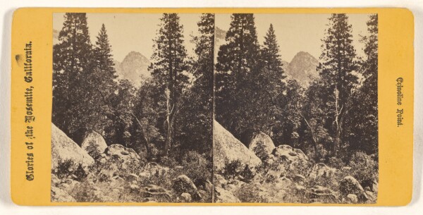 Unknown, Crinoline Point. [Mammoth Trees, California.]
