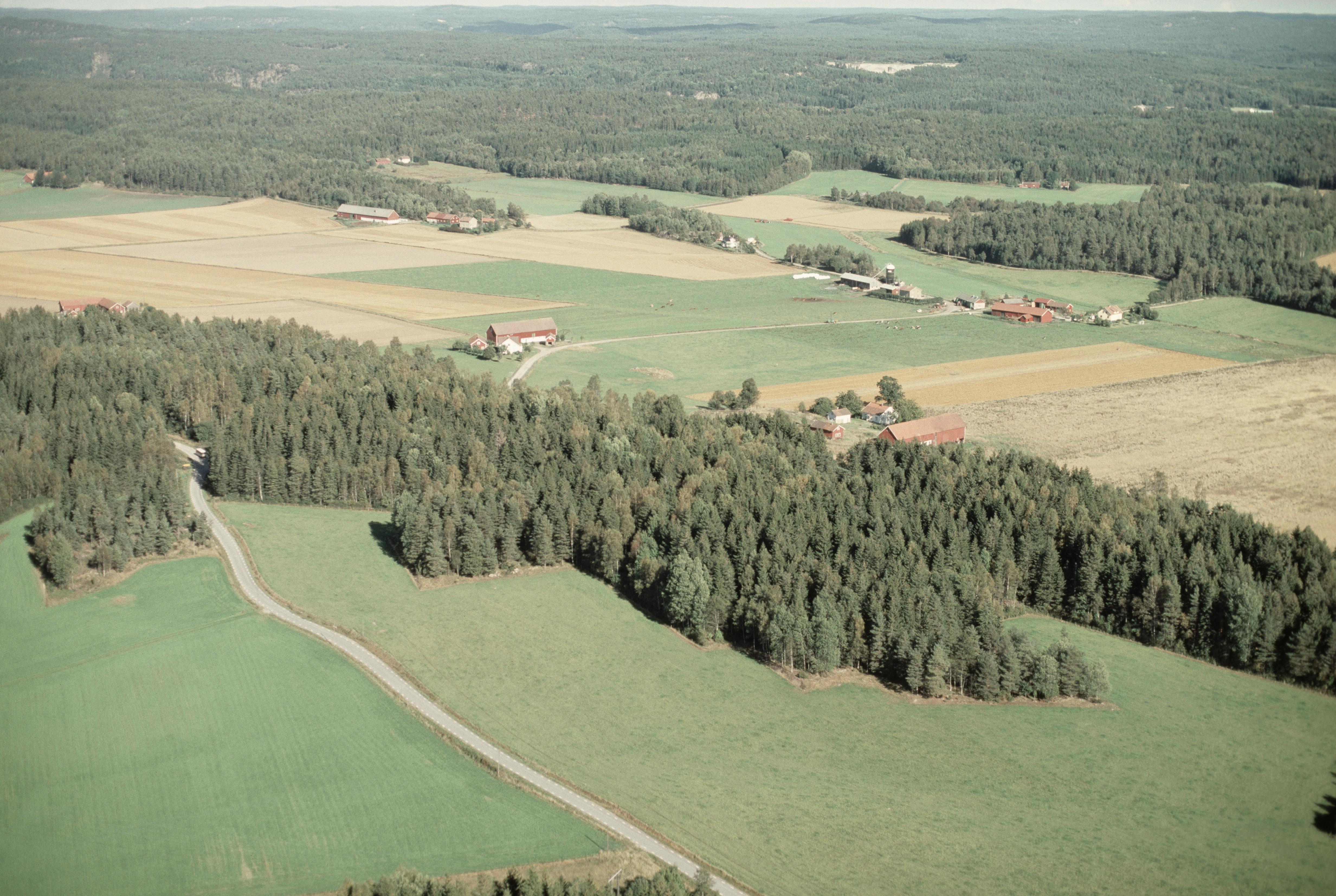 Jan Norrman, Skee 623:1