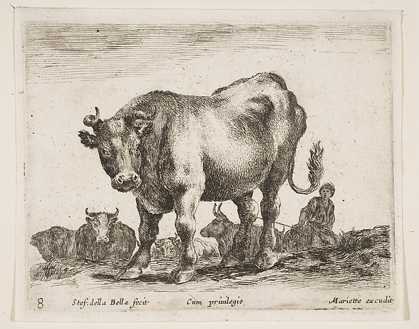 Stefano della Bella, Cow, plate 8 from "Various Animals" (Diversi Animali)