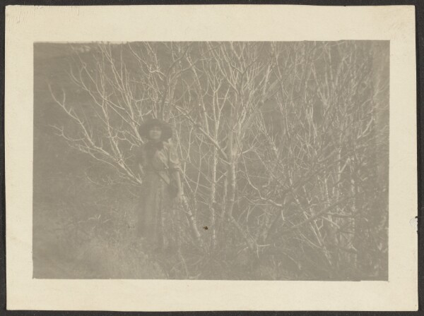 Louis Fleckenstein, [Florence among Trees]