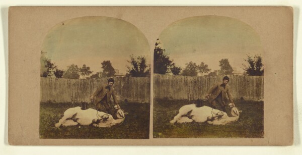 London Stereoscopic and Photographic Company, [Stereoscopic Illustration of Horse Taming.]