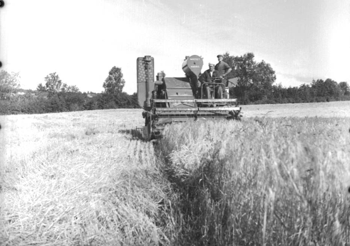 Anno Domkirkeodden, SKURTRESKER, SKURONN, LALUM GÅRD,