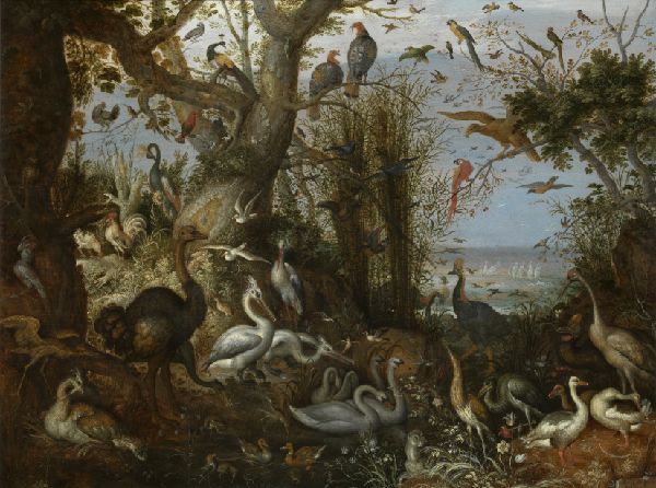 Roelant Savery, Poultry