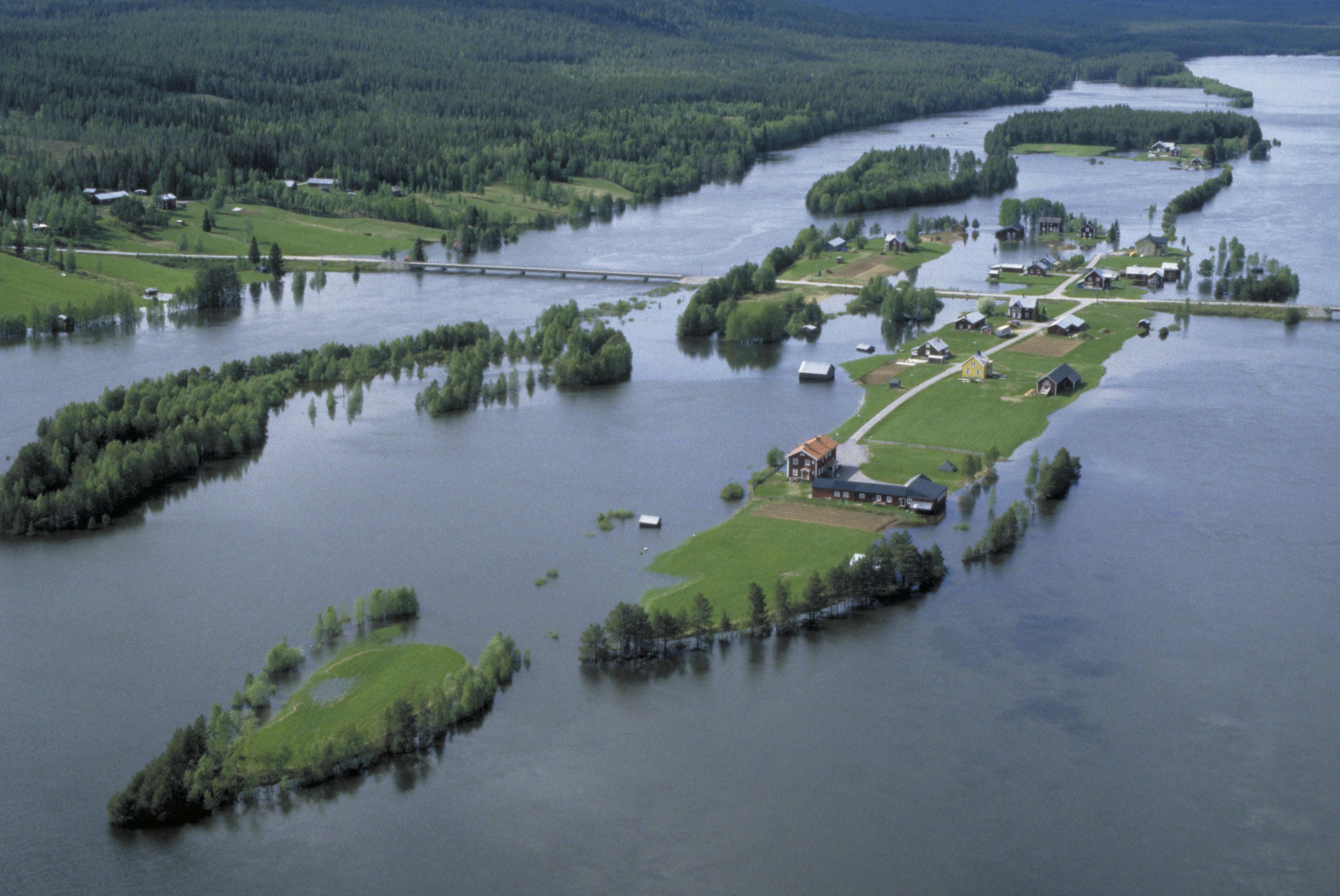 Jan Norrman, Lycksele 1526:1