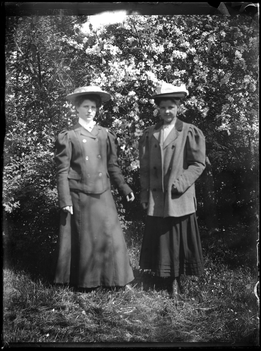 Einar Torgny, Signe och Märta Lundgren