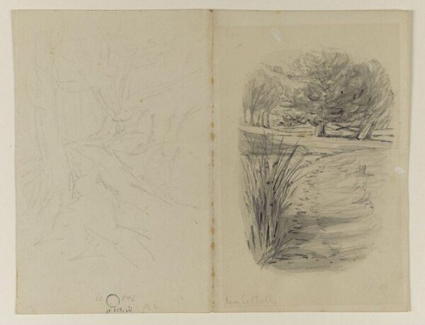 Potter, Beatrix, Near Catbells