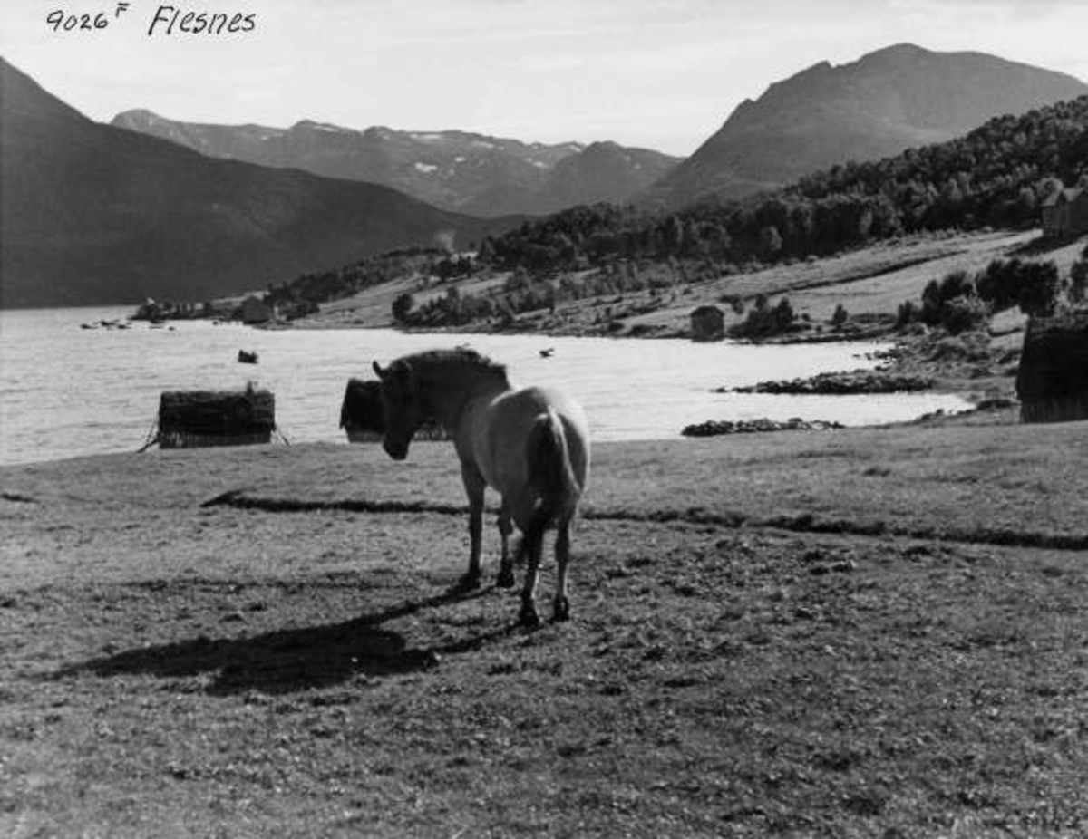 Anders Beer Wilse, -6486