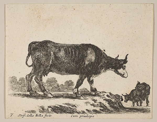 Stefano della Bella, Plate 7: Cow, from "Various animals" (Diversi animali)