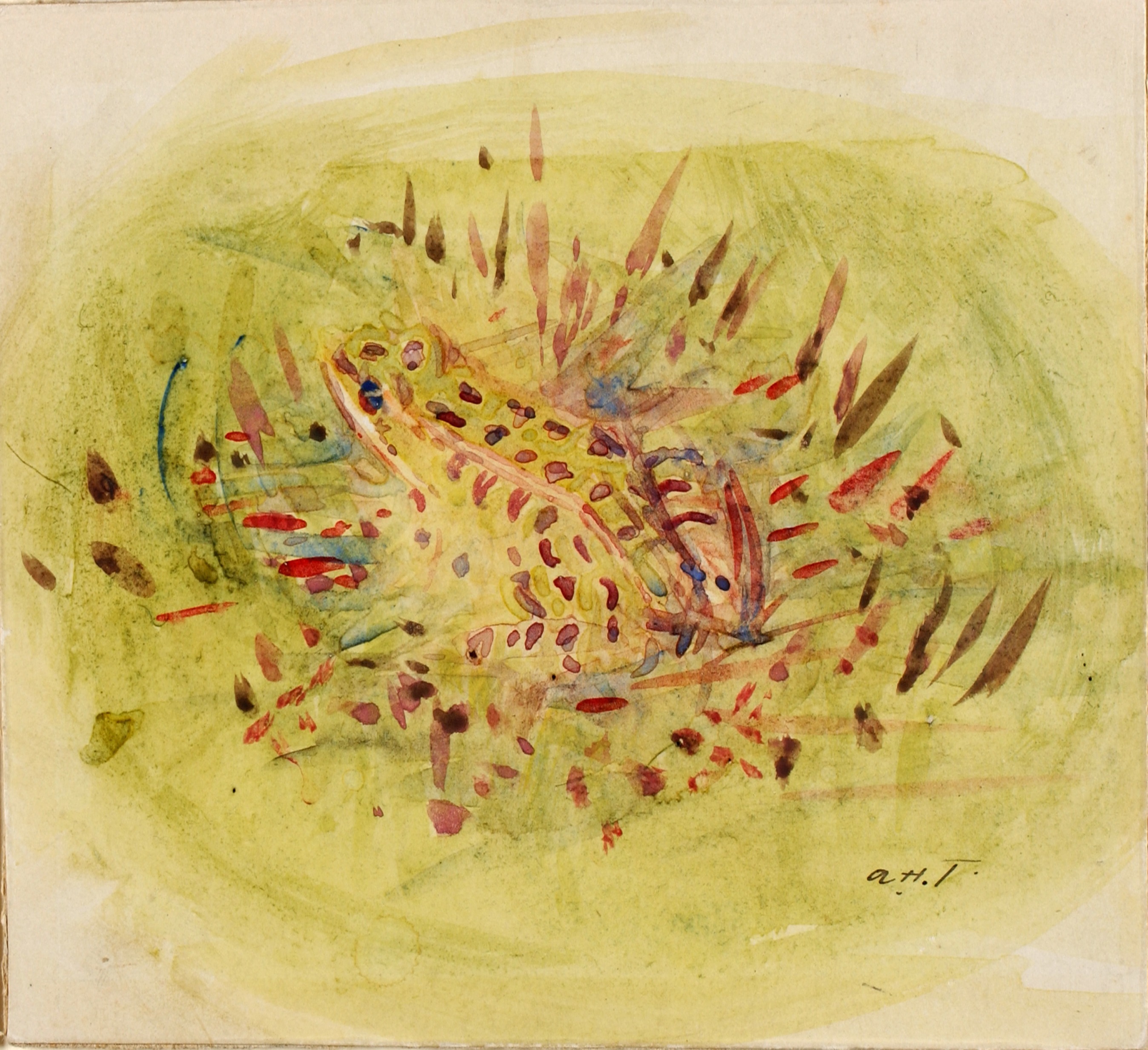 Abbott Handerson Thayer, Frog