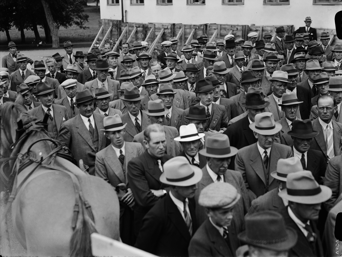 Paul Sandberg, “The day of the trial brought together six hundred farmers” - The Agricultural College, Ultuna, Uppsala July 1942