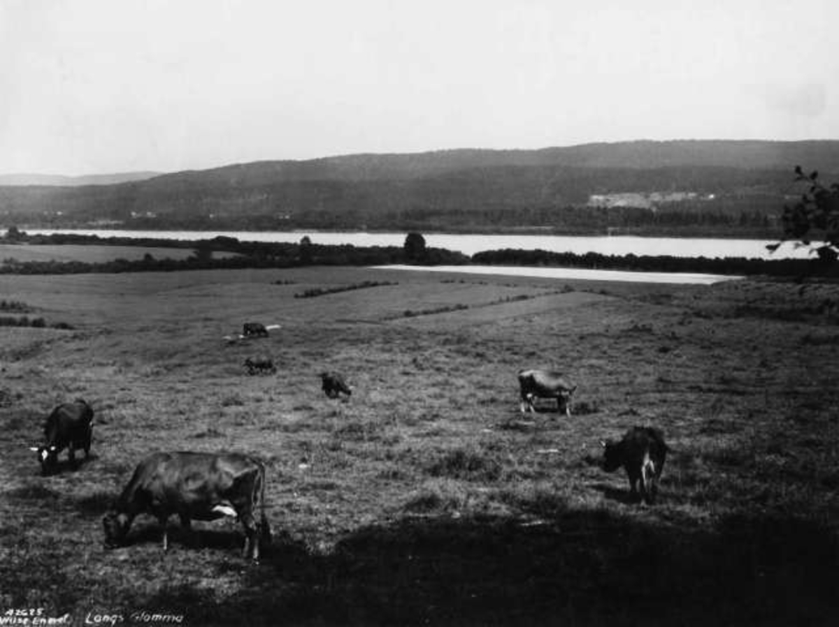 Anders Beer Wilse, -7902