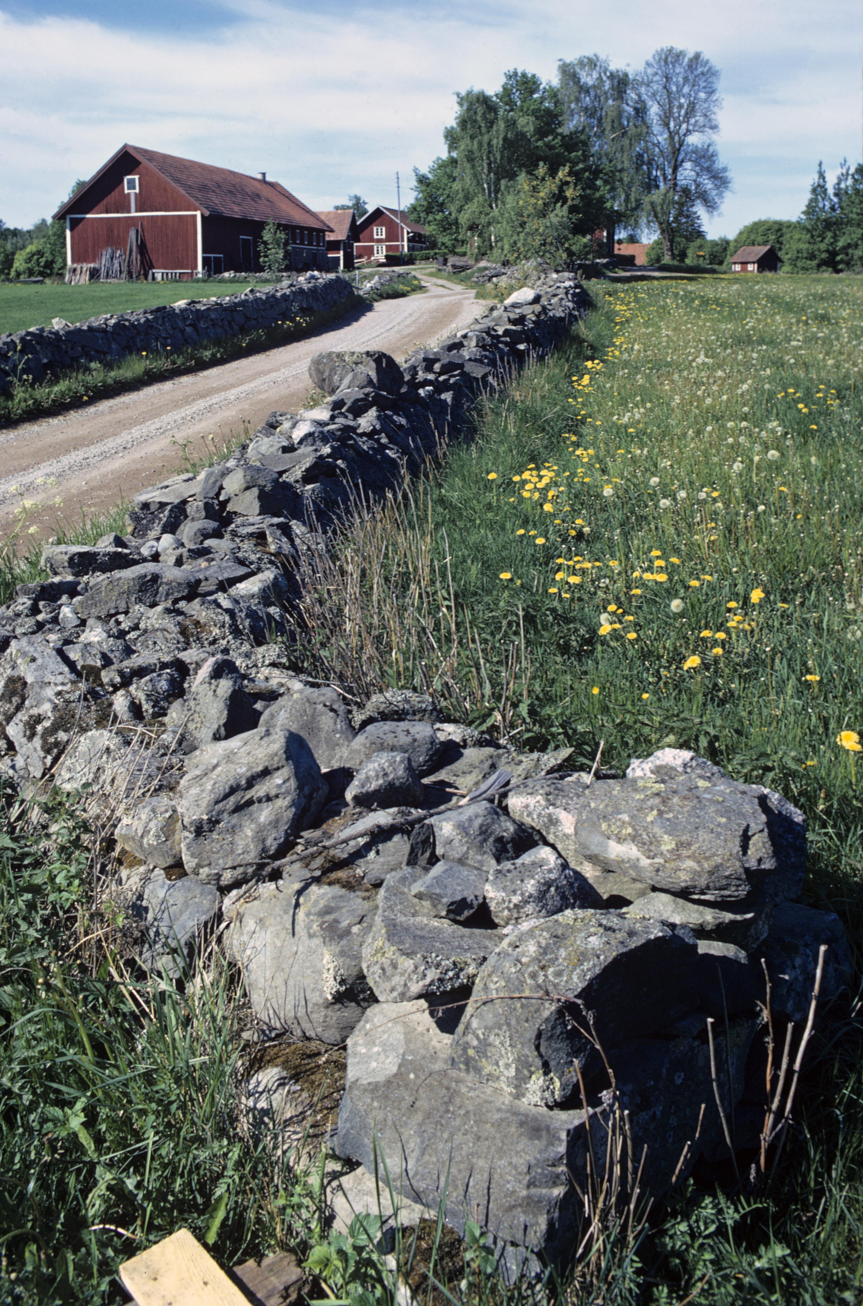 Pål-Nils Nilsson, Furuskallens by