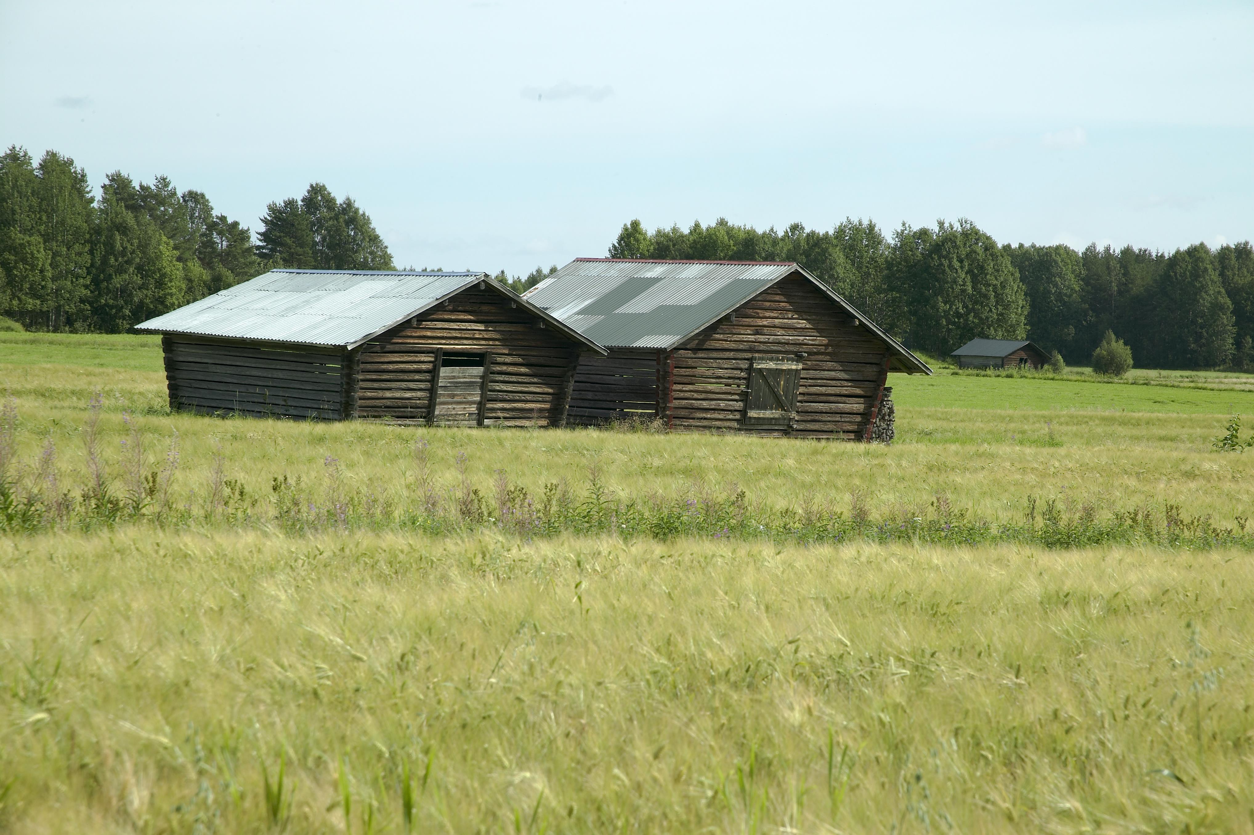 Bengt A Lundberg, Sjulnäs