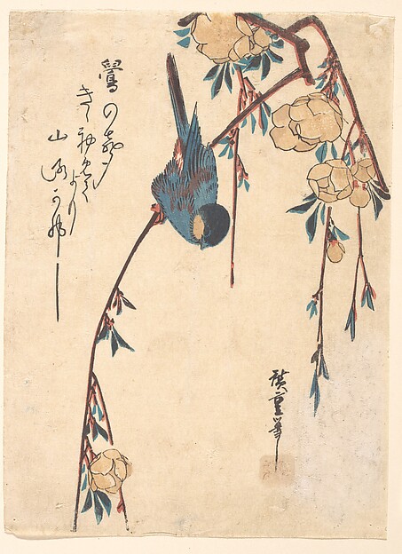 Utagawa Hiroshige, Weeping Cherry