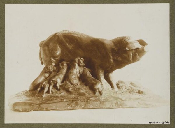 unknown, Photograph