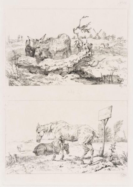 Edwin Landseer, Asses and Horses
