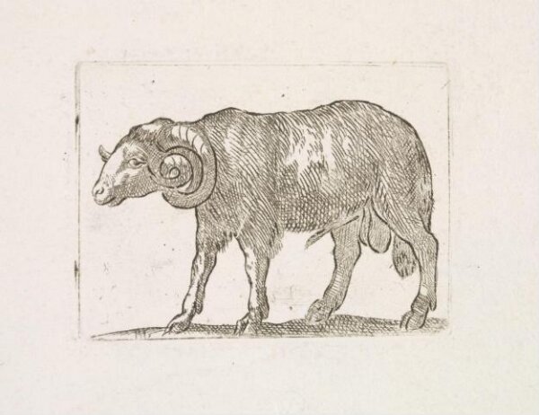 Unknown, Print