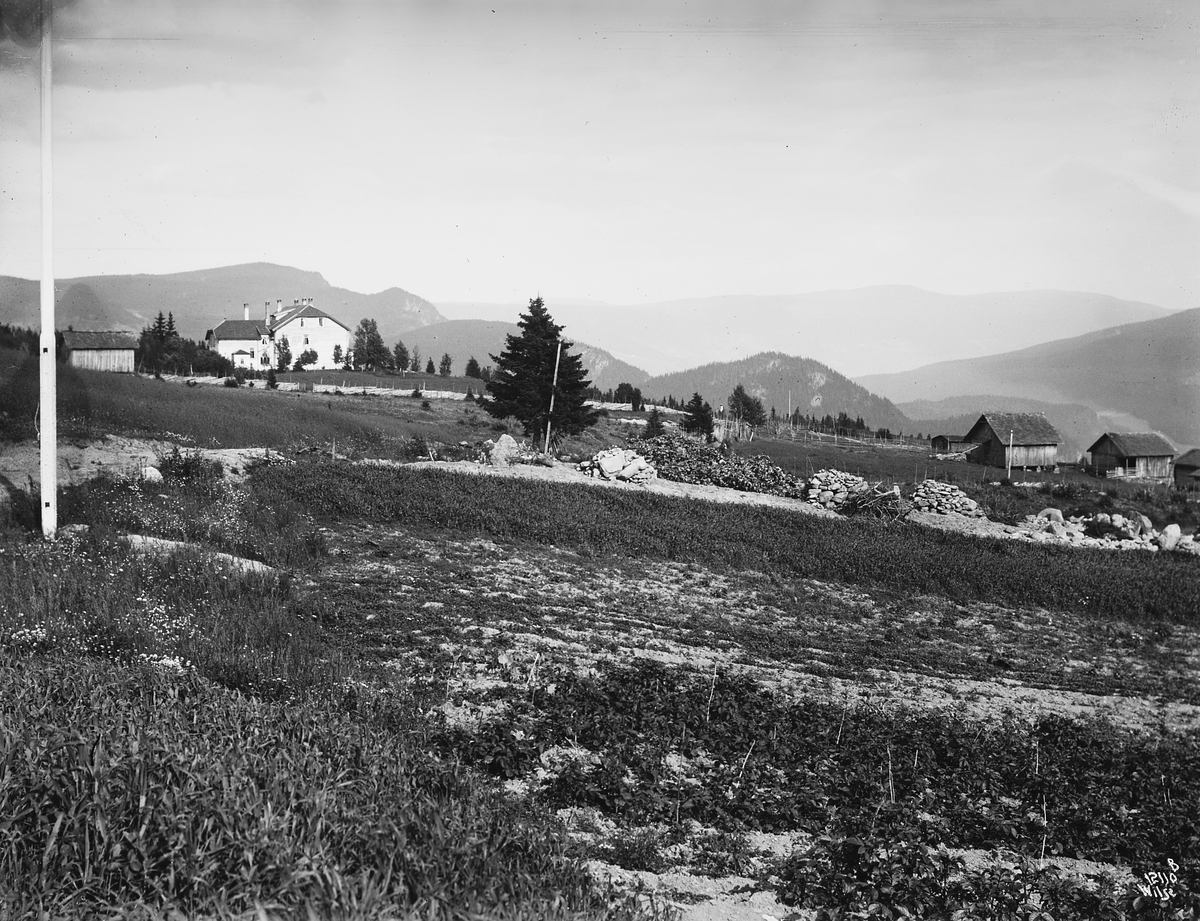 Anders Beer Wilse, Prot: Wulfsberg